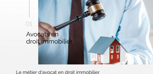 https://www.avocat-immobilier.eu